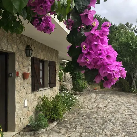 De Fujacos